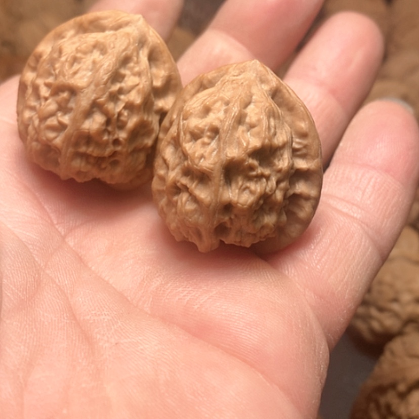 【闪购商品】骏*野生宝塔