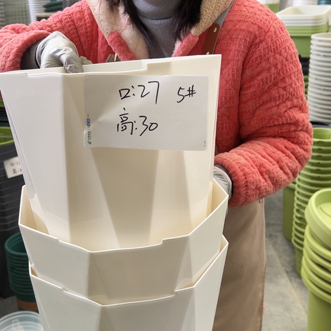 瑕疵钻石5#白色5个无托