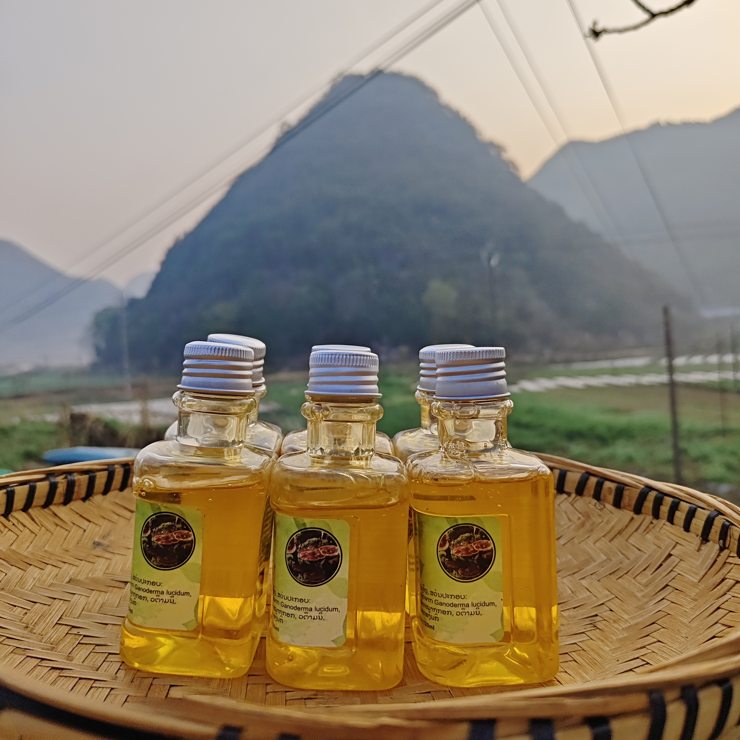 【其他蔬菜】  油～油～油   一瓶    非百合