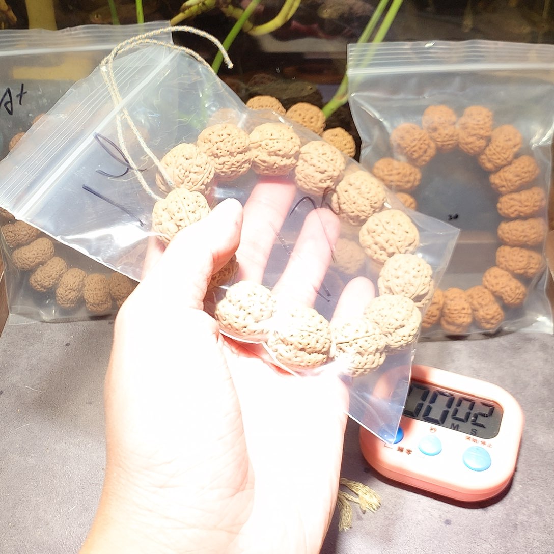 金刚菩提手串萌*14。     