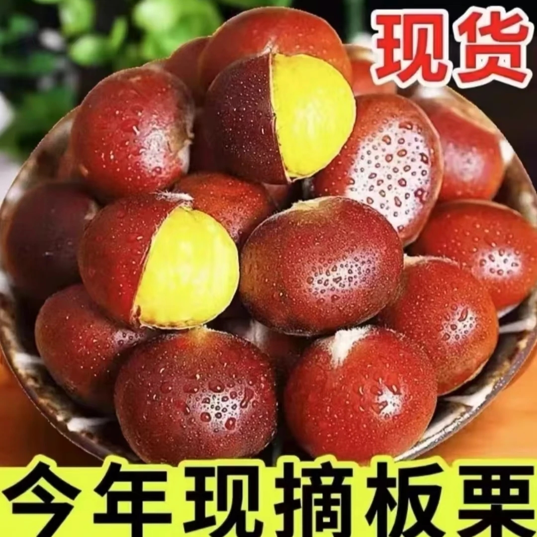 【买3斤送2斤】新鲜现摘高山板栗产地直发难剥皮送剥皮器