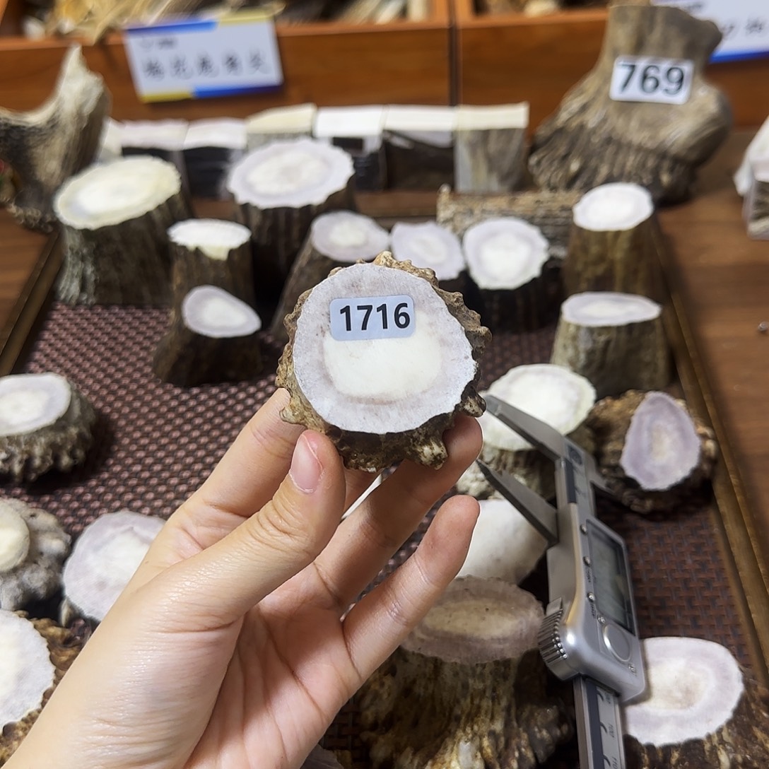 手串/手链鹿骨1716角帽