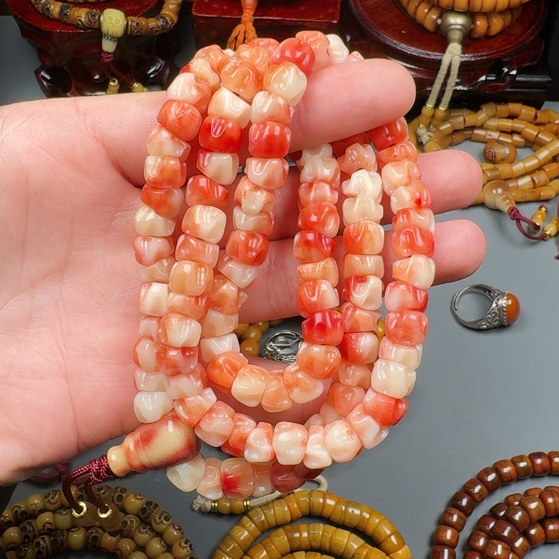 驼骨的一条非常好的一条