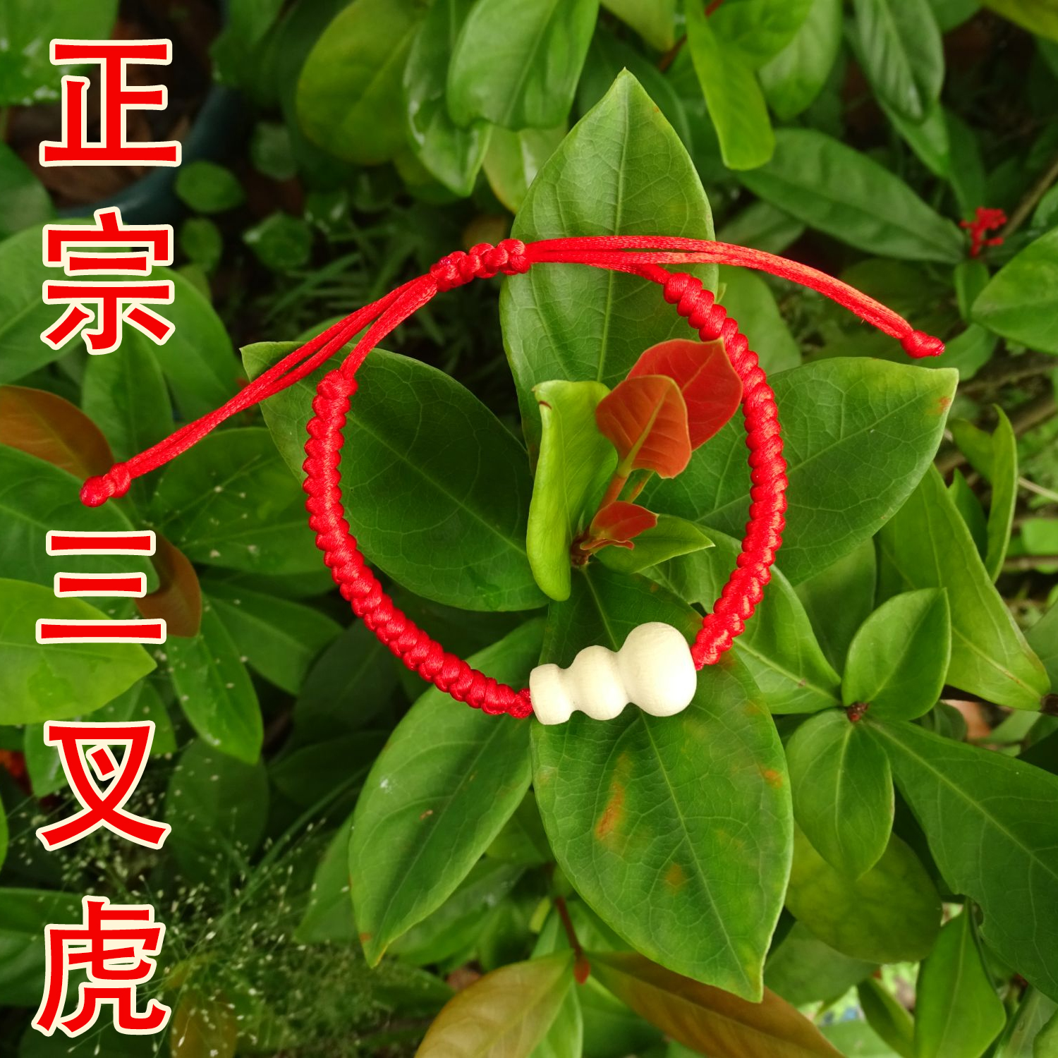 【成人款手绳三丫虎葫芦】正宗三丫虎老木葫芦三叉虎三丫苦三叉苦