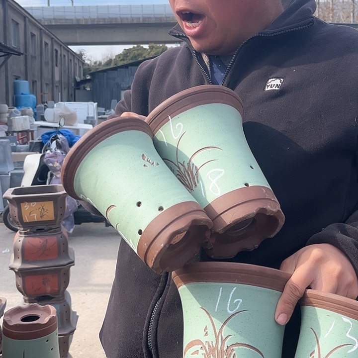 紫砂紫砂花盆盆栽