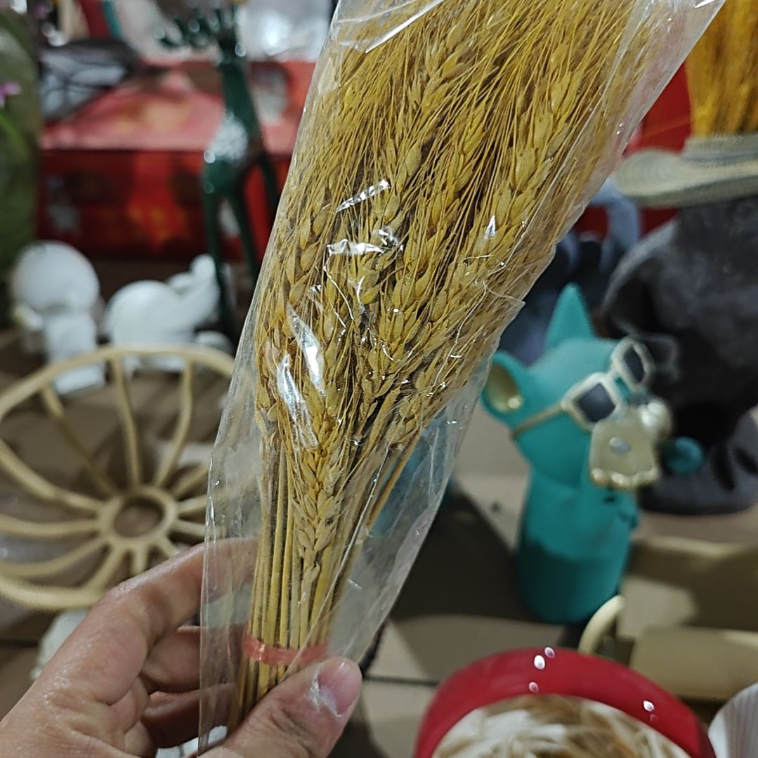 树脂树脂树脂树脂树脂自***✔