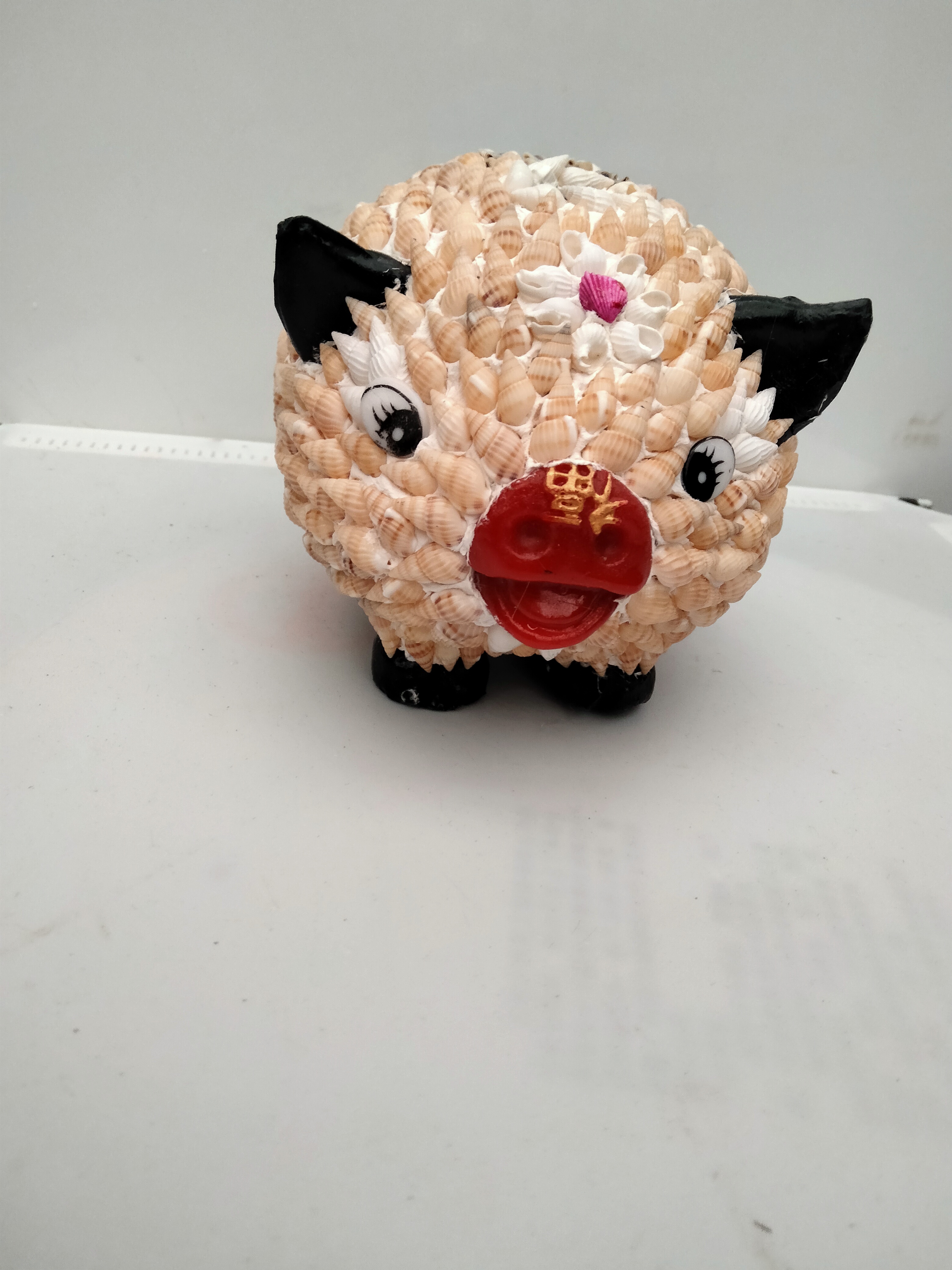 贝壳小猪！纯天然黄米螺！纯手工制作