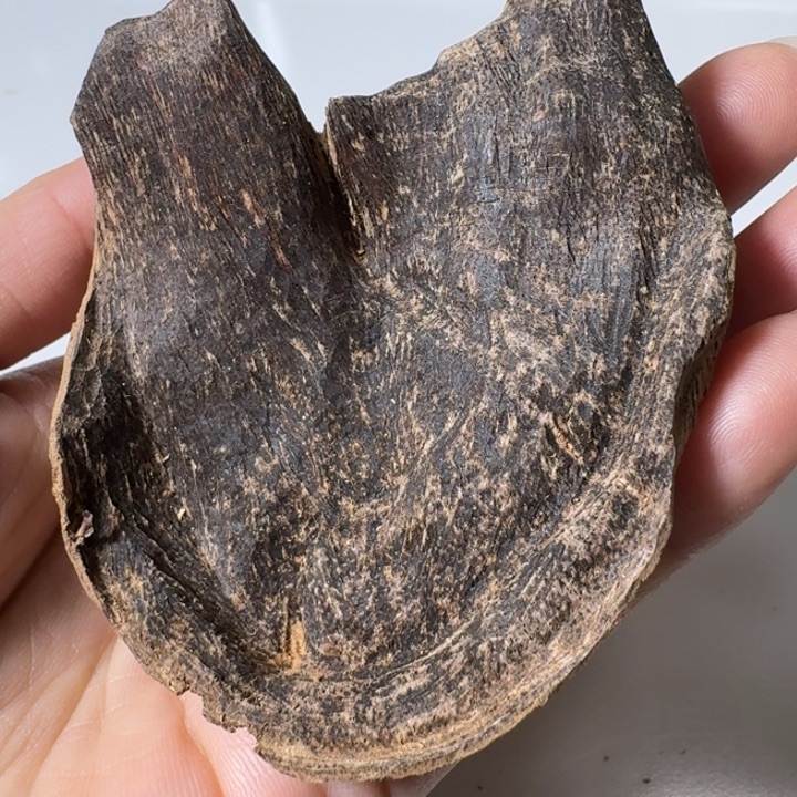 楠木薰香壳子料9.6克