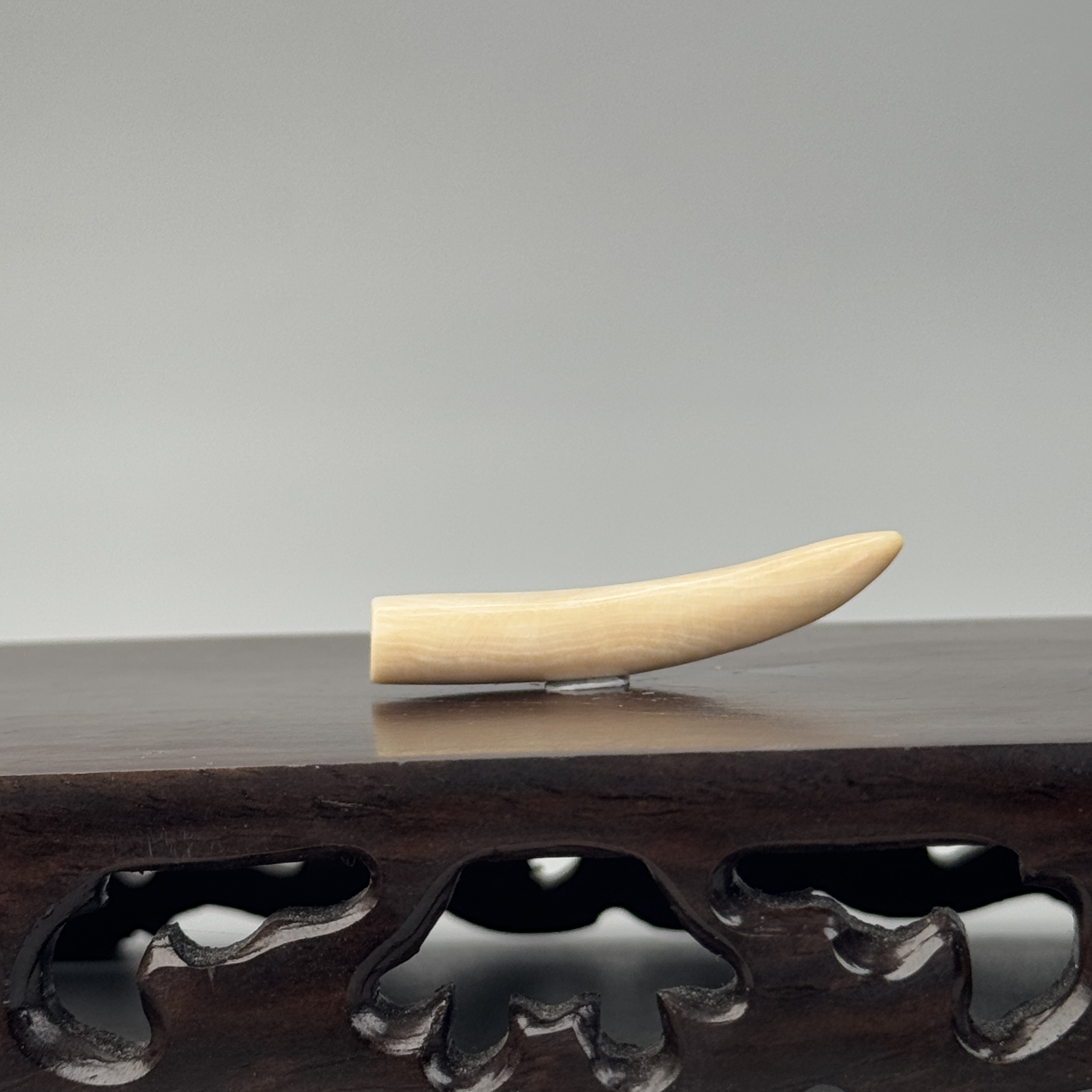 DEZHI/德志3g纯肉牙尖41*9*6mm猛犸牙默认打孔配吊坠绳K325