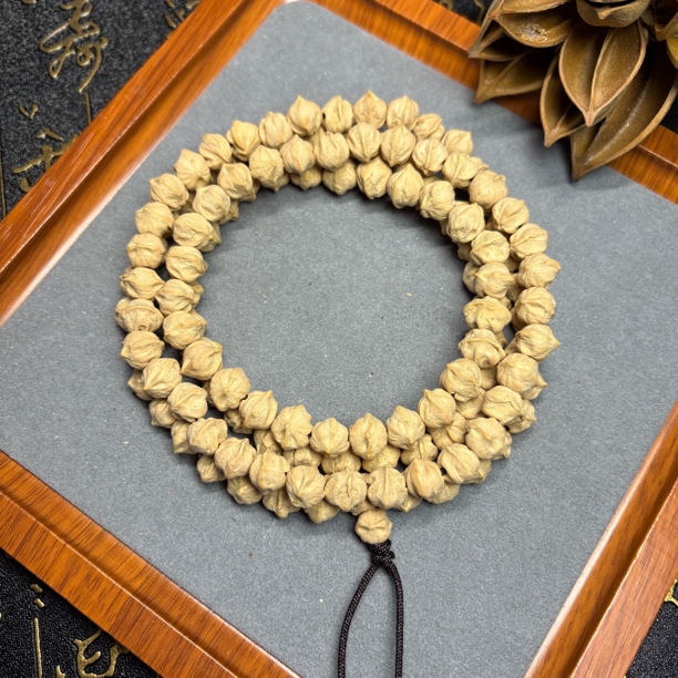 【灵芽花苞】百香籽水晶皮原桩横打白芽 大尺寸玉化籽走色快！