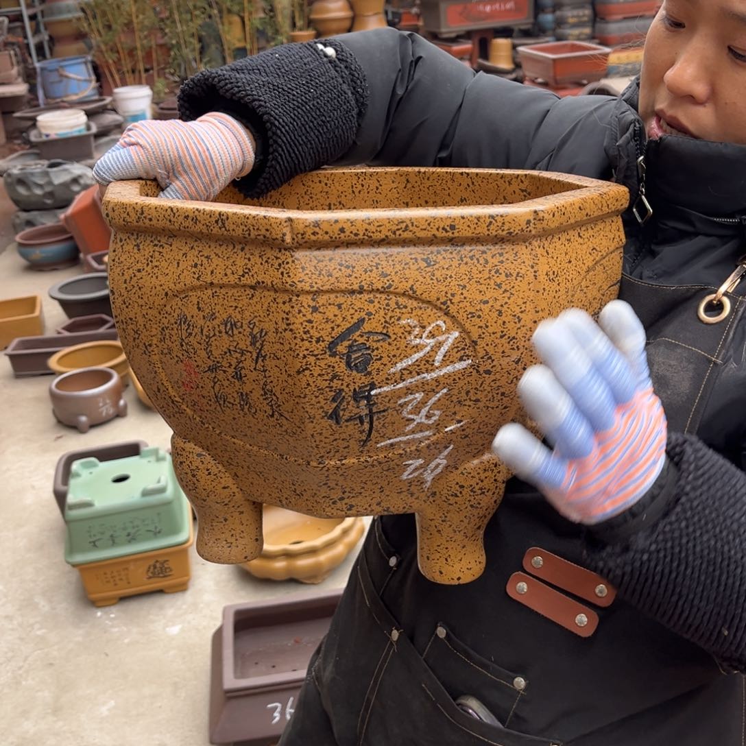 紫砂花盆盆景艺术