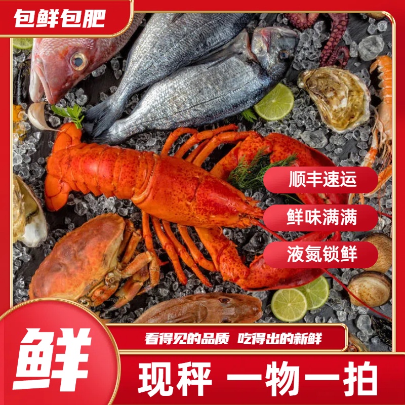 【二号直播间现场称重 】海鲜组合直播为准净含量50-20000g