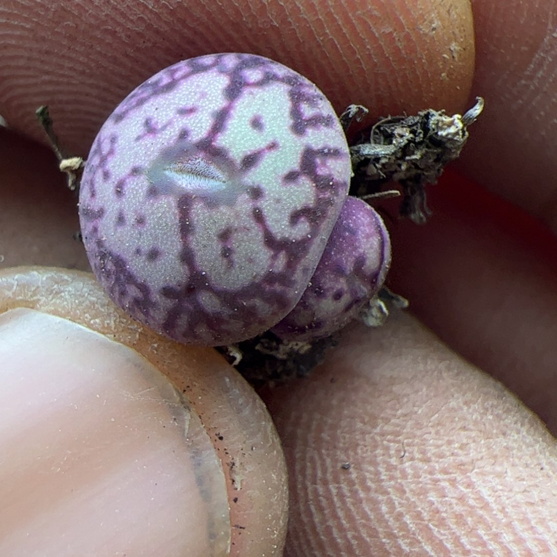 大家过年好22493