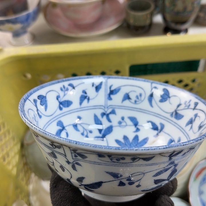 碗开播啦….开播啦