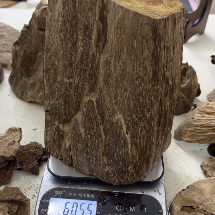 沉香摆件Y****囧海南沉香水格块料605克