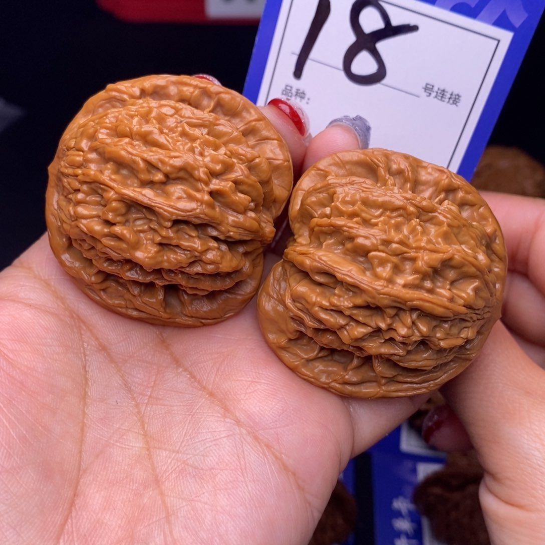 18号链接虎头4.6尺00000