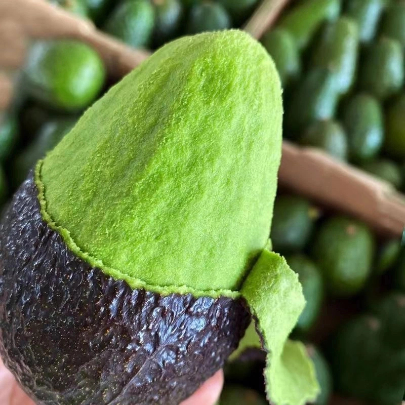 【秘鲁进口牛油果】新鲜哈斯牛油果当季水果高营养低糖宝宝辅食1