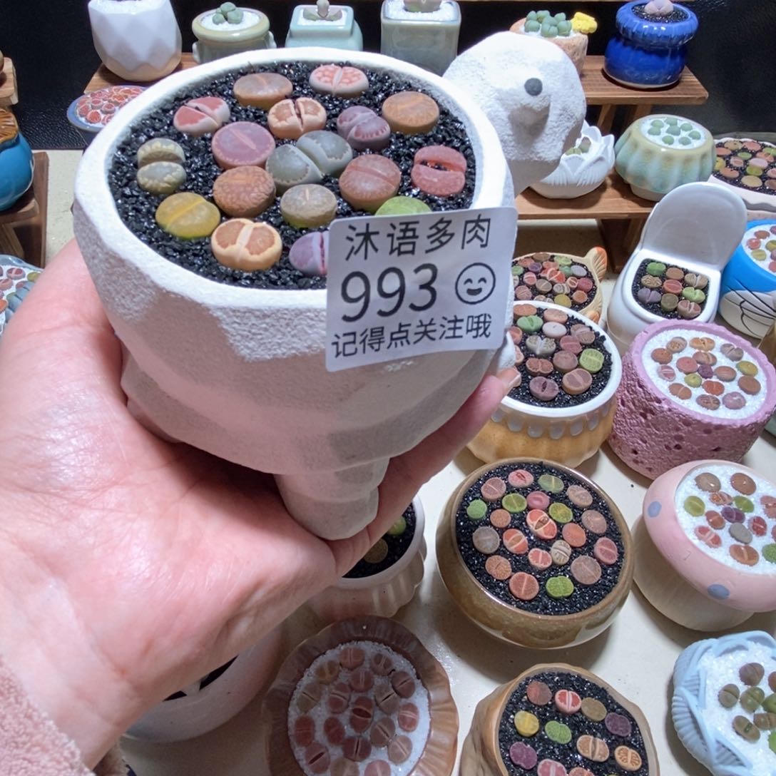 所见即所得 一物一拍 993