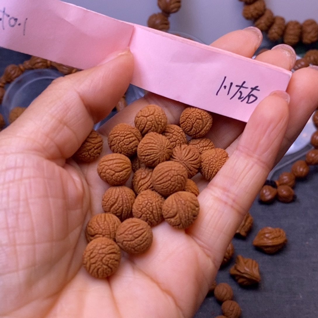 秦岭龙纹桃核21颗