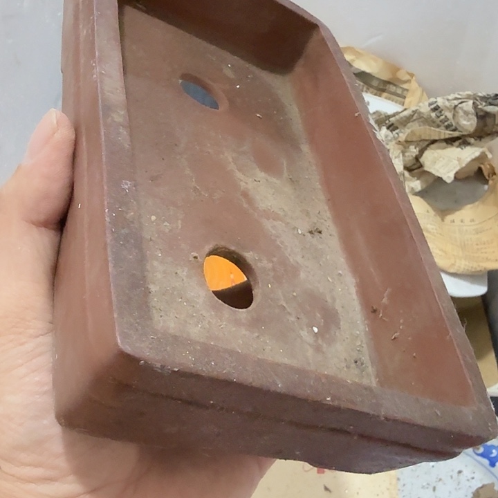 小***建扇子 和v好吧恍恍惚惚斤斤计较