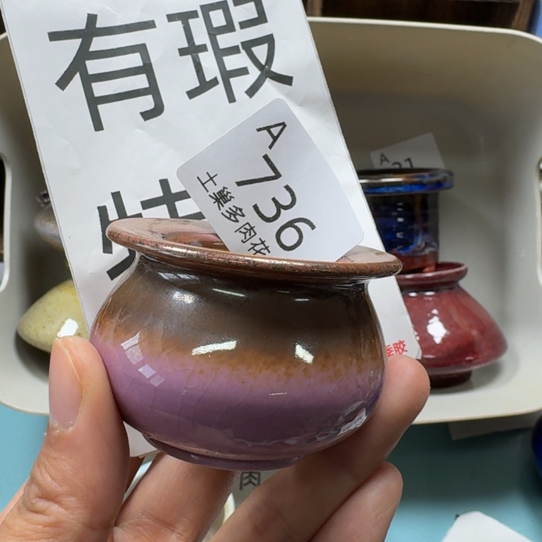 陶瓷艺术品设计与制作