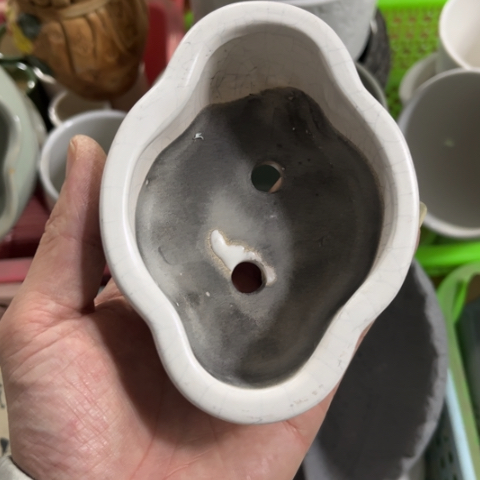 ［所有订单凑满15明天发］