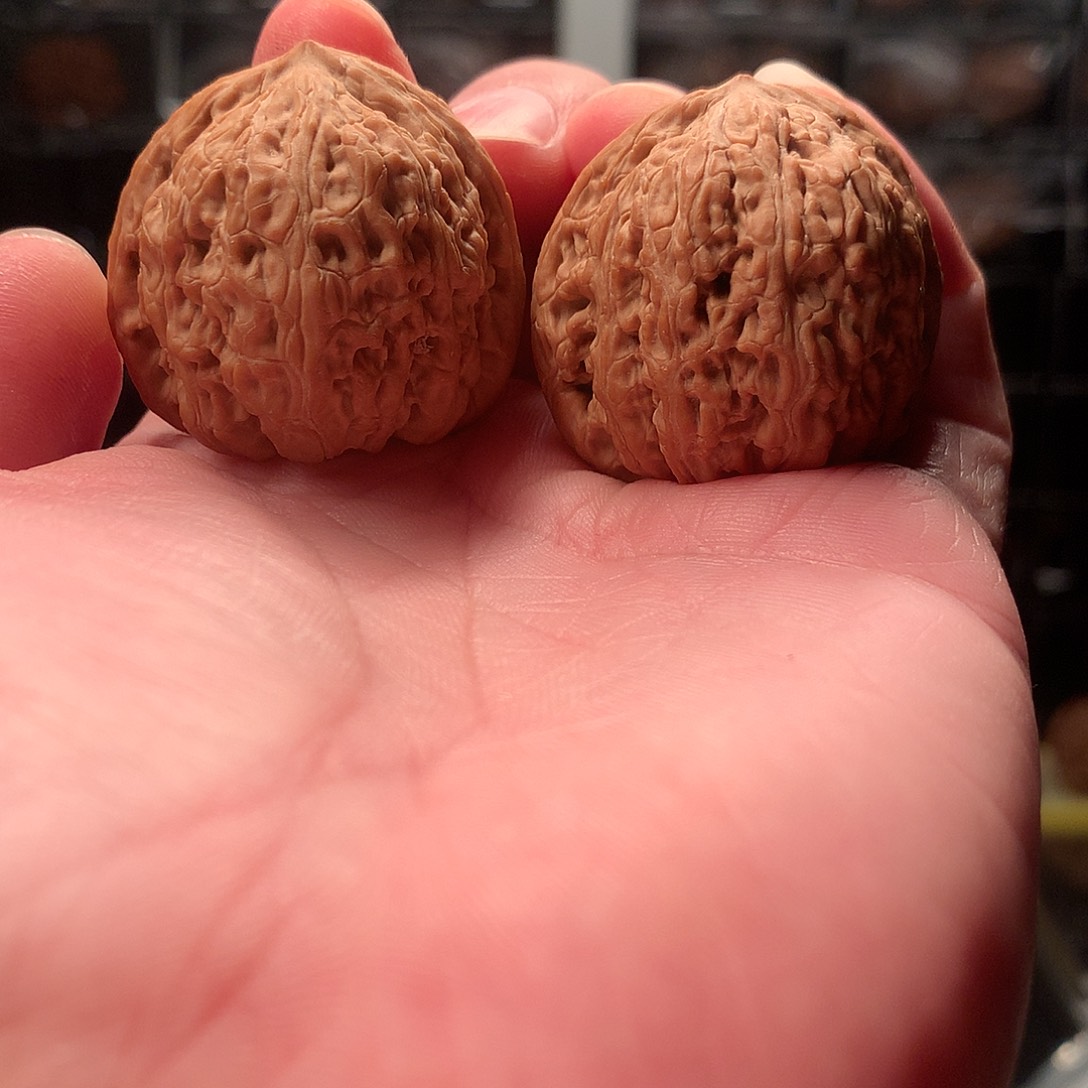 吊坠文玩核桃承德密纹