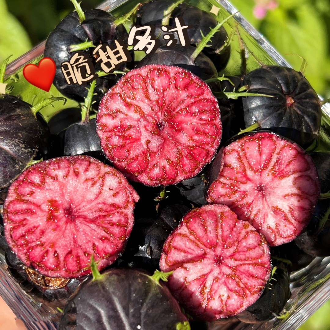 【红果参】云南水果红参果脆甜多汁新鲜2/4/6盒 单盒125g+ S