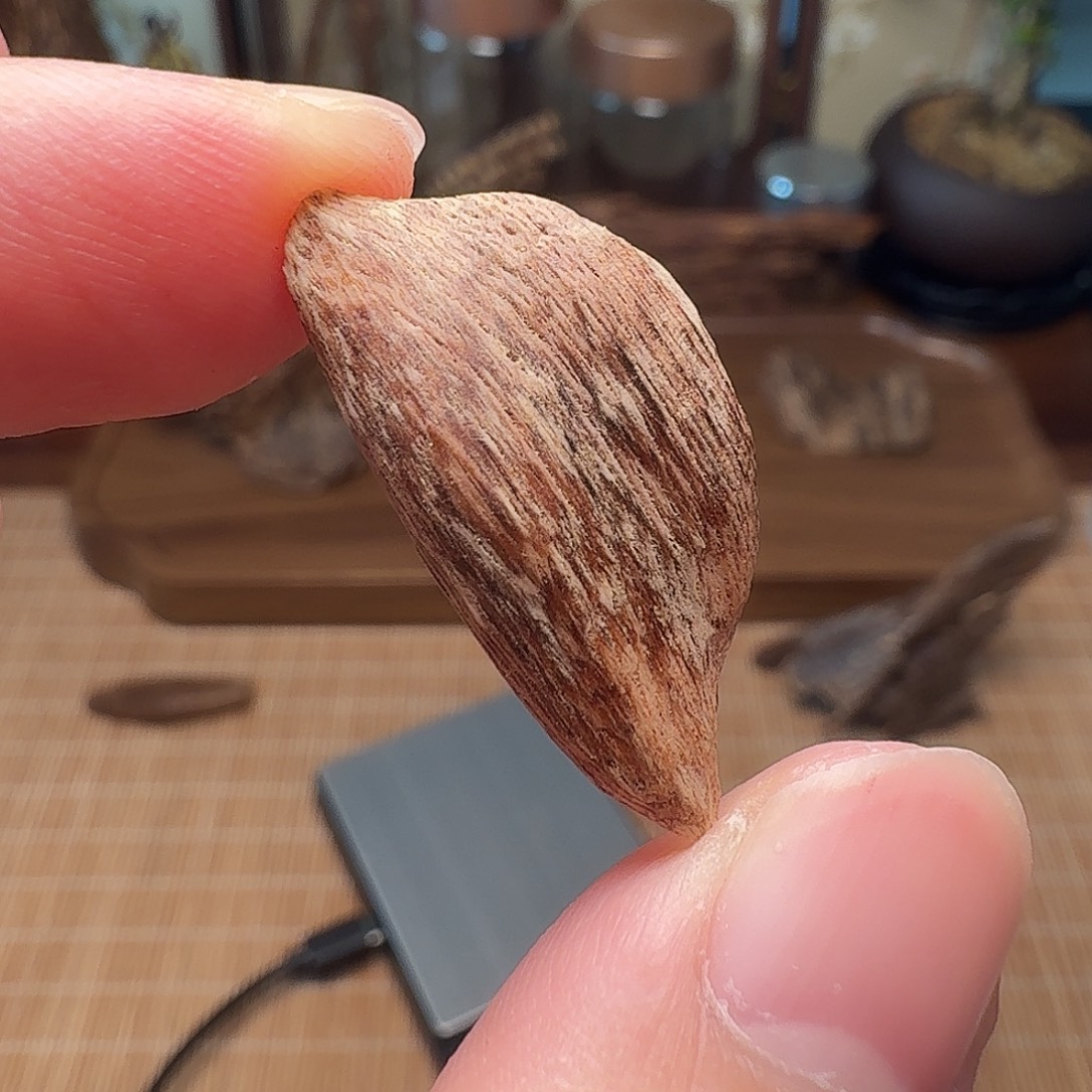 沉香海南黄油格瓜子