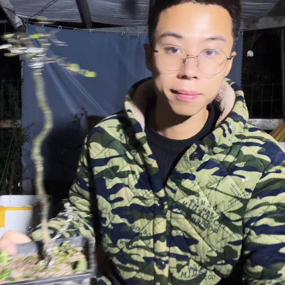 那***8无花朵金弹子一颗