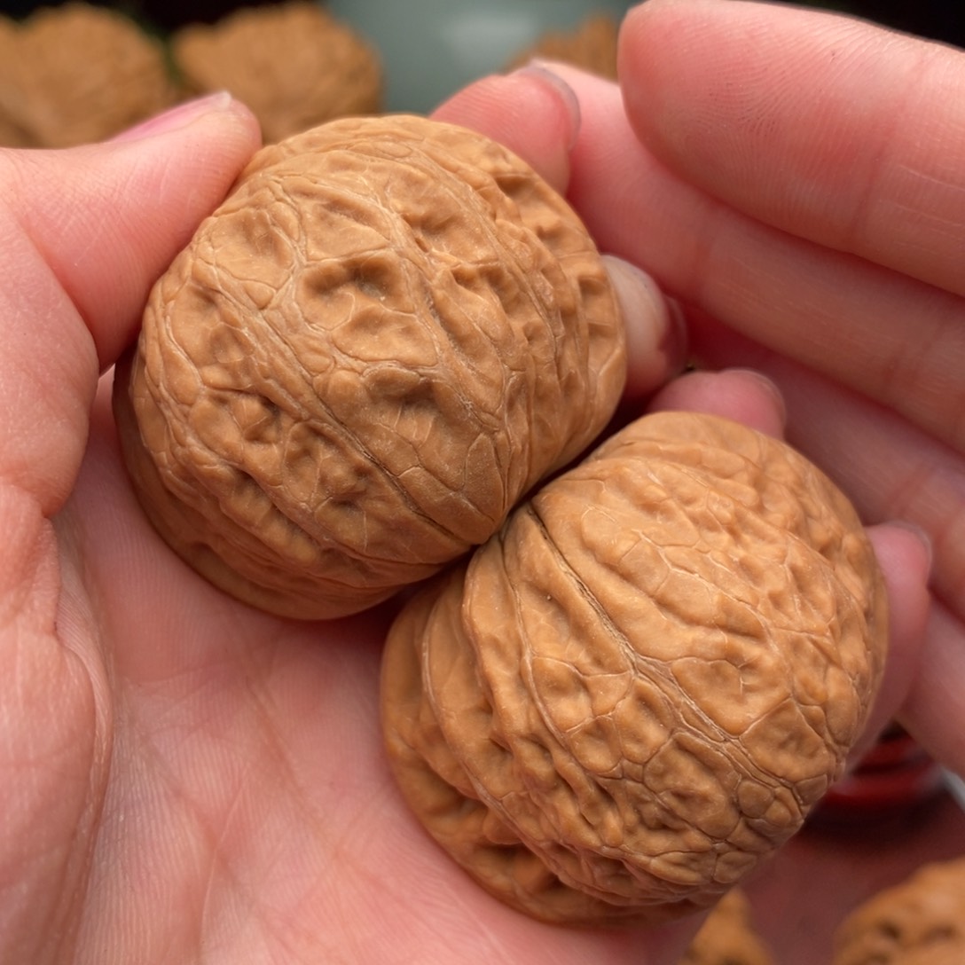 文玩核桃把件铁锤41