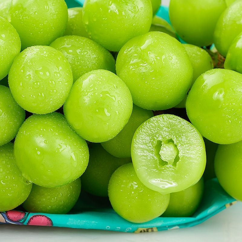 正宗云南阳光玫瑰新鲜采摘葡萄颗颗饱满新鲜水果香甜多汁