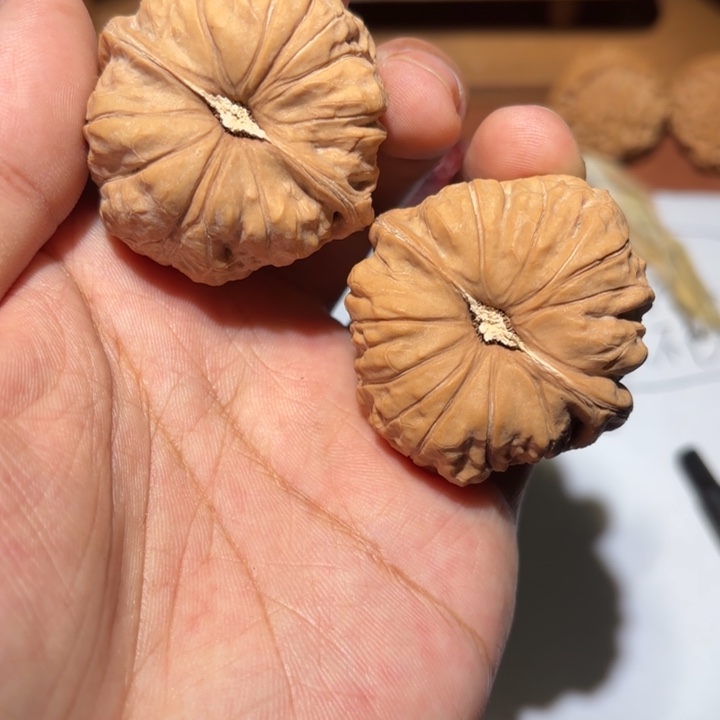 核桃45尺头货南瓜