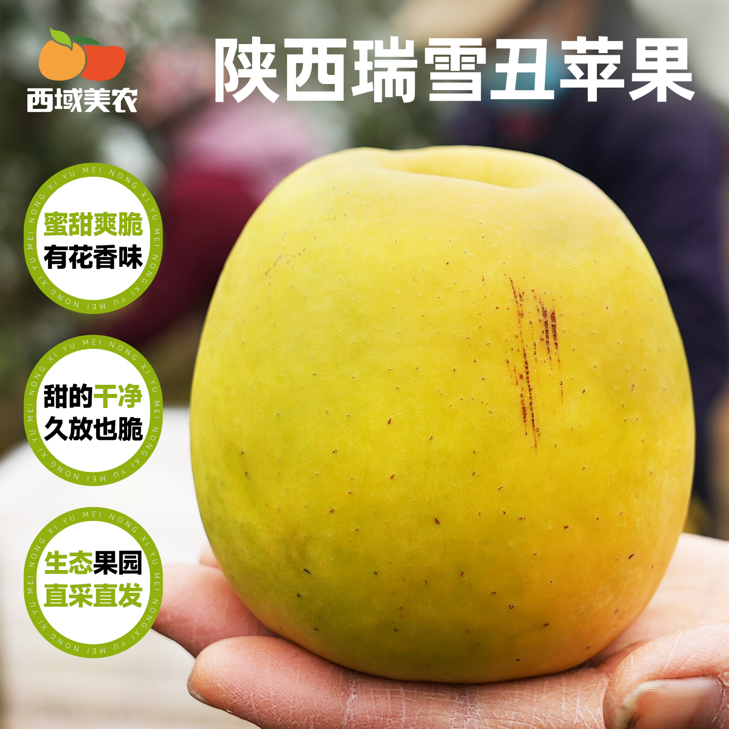 西域美农瑞雪苹果4.5斤晚熟苹果鲜甜细腻汁水足不打蜡新鲜水果商品图