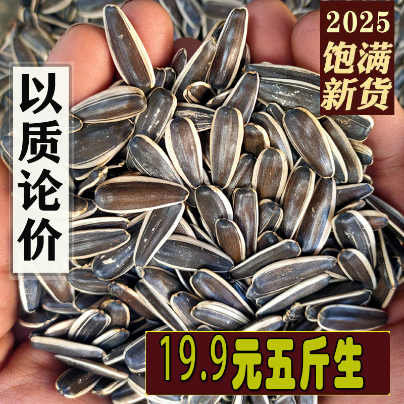 原生态大颗粒生瓜子葵花籽瓜子追剧必备充饥零食