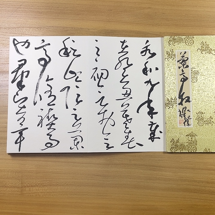 书法中书协老师何其健