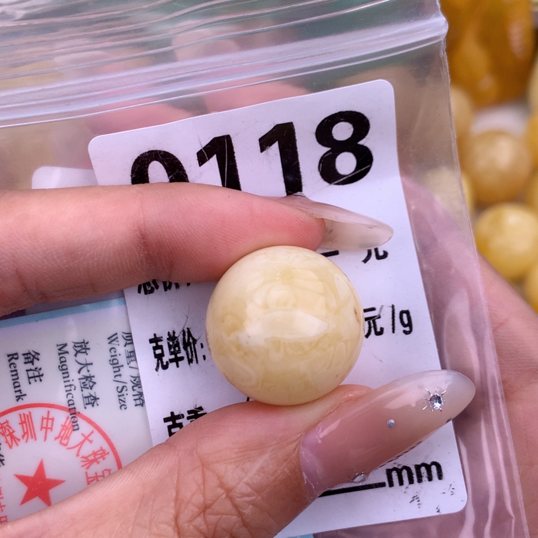 琥珀未镶嵌珠宝奇石19.8 植物