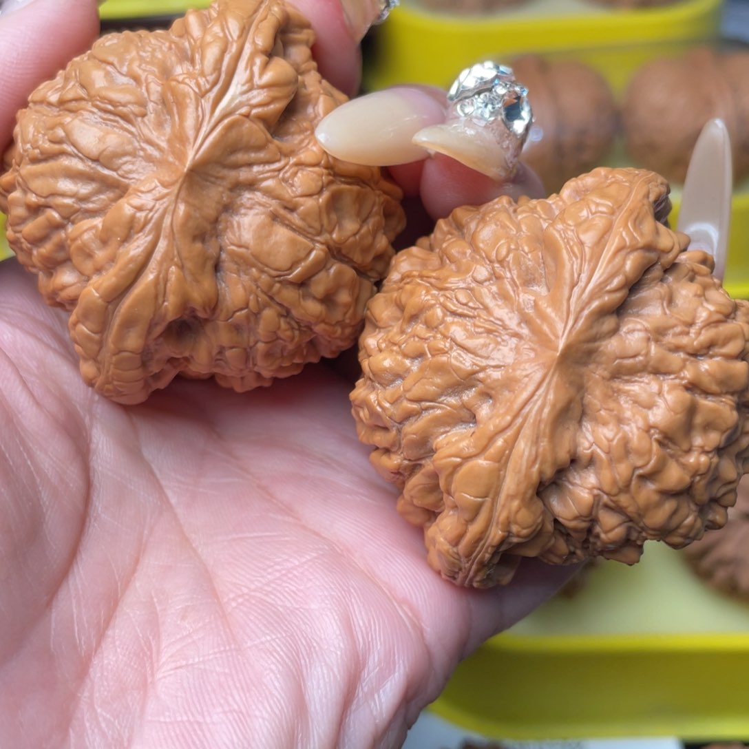 文玩核桃把件52全品粗筋龙鼎