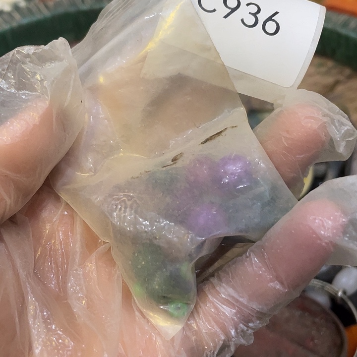 用***9瓷片c936号工艺品