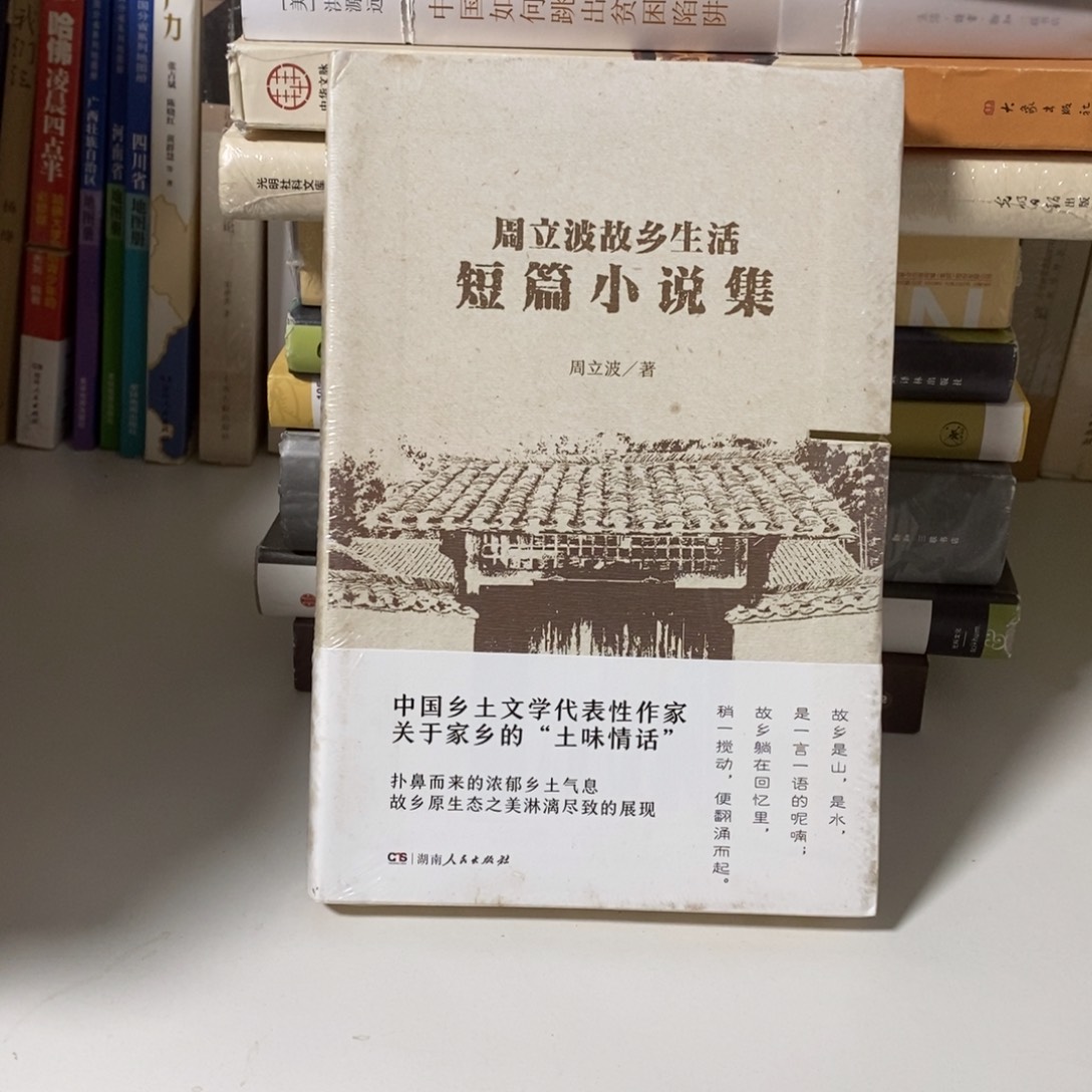 锯口  周立波小说集