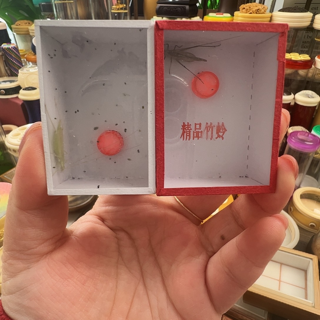 J***e哈哈哈蟋蟀青竹➕紫竹