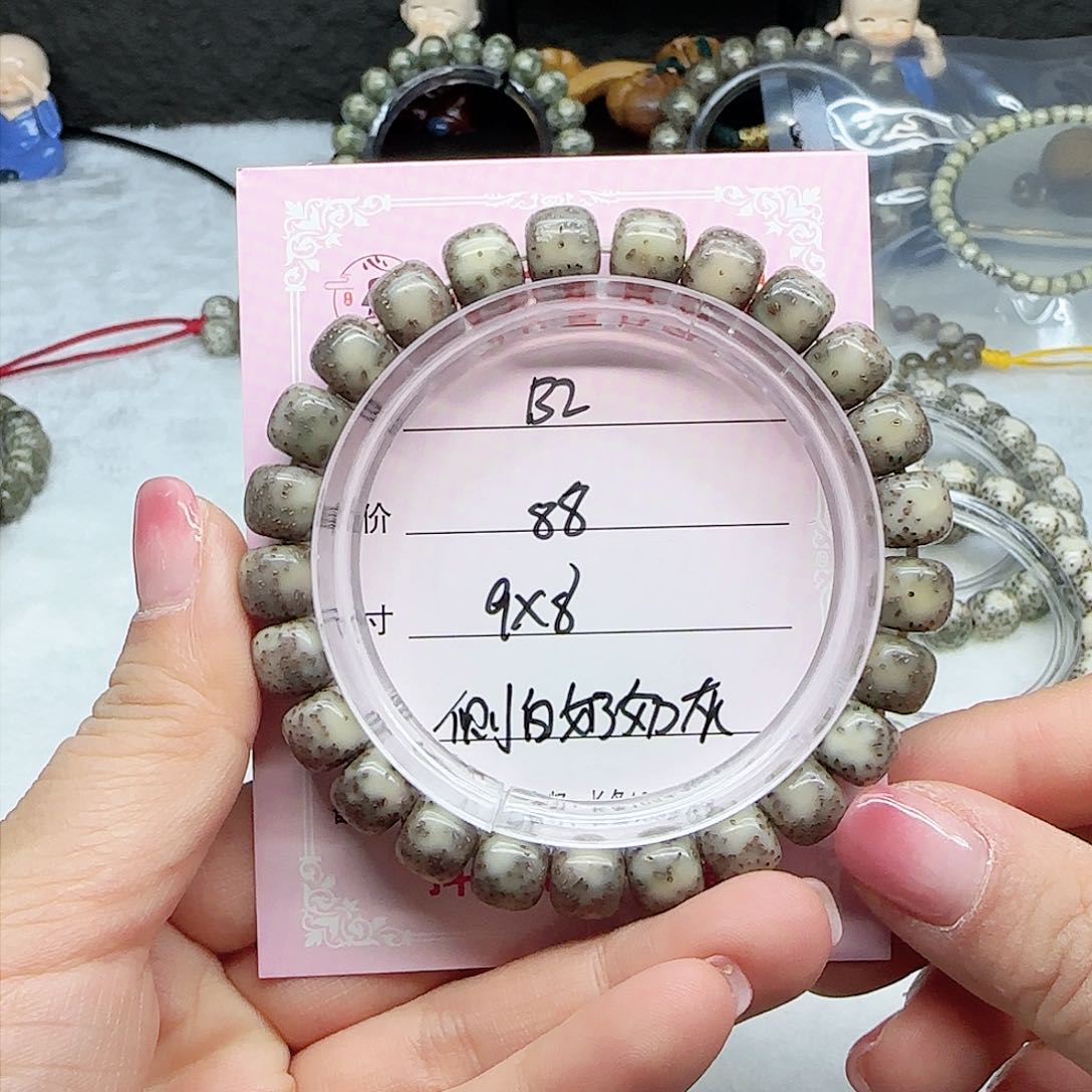 心月星月菩提一号B2