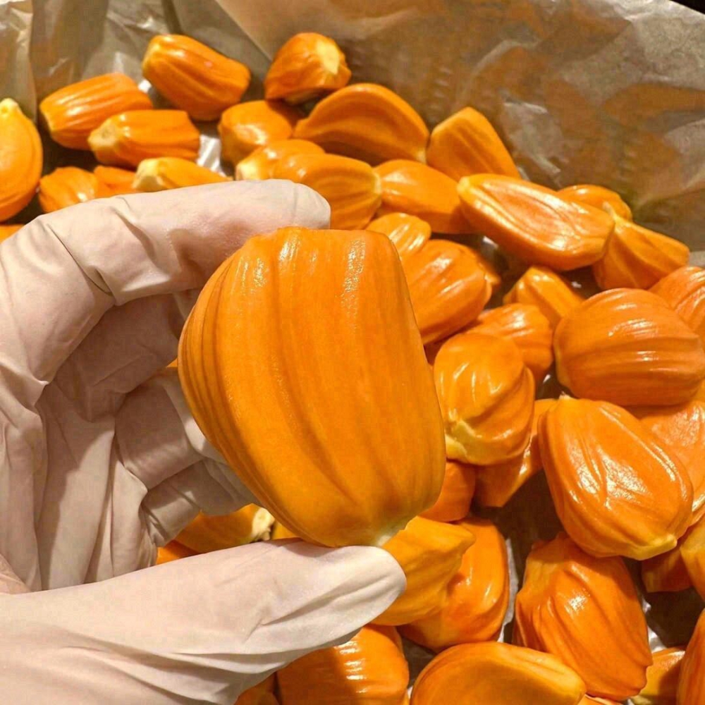 果切现剥大果印尼红菠萝蜜大果500克