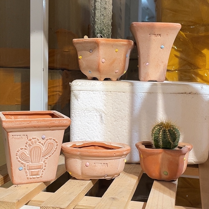 红陶5个花盆花盆