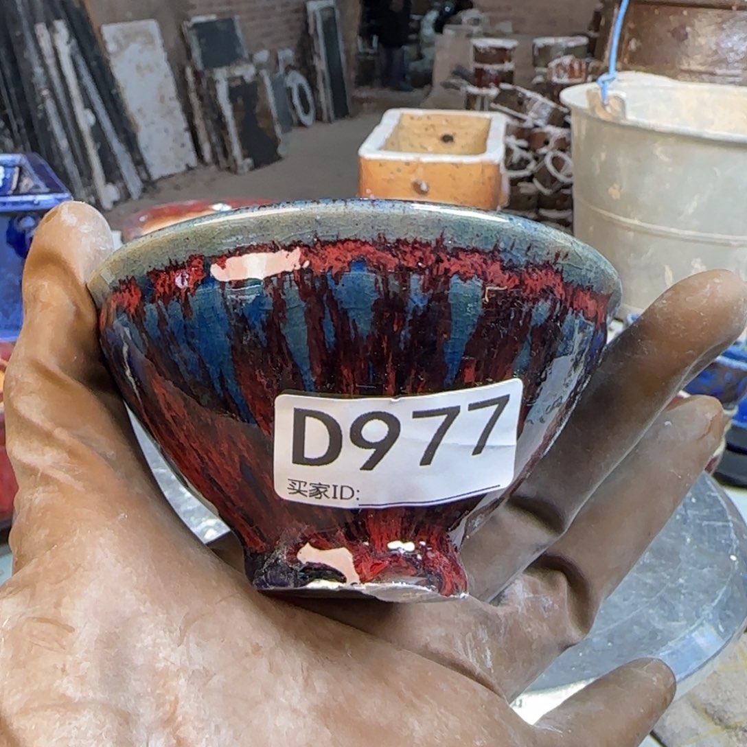 红泥花盆青*果977        