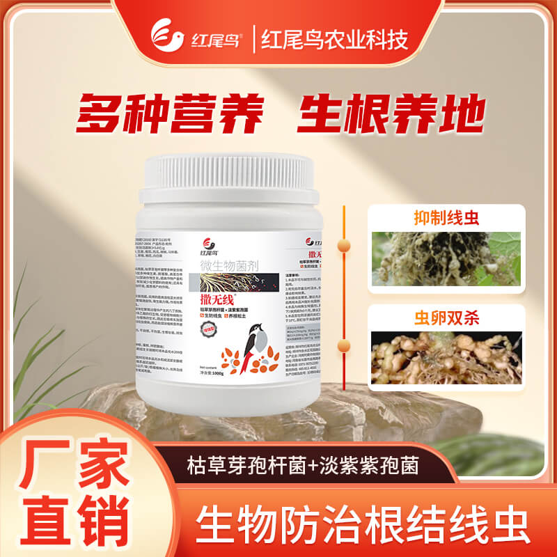 红尾鸟撒无线微生物菌剂枯草芽孢杆菌淡紫紫孢菌双重防线虫专用肥
