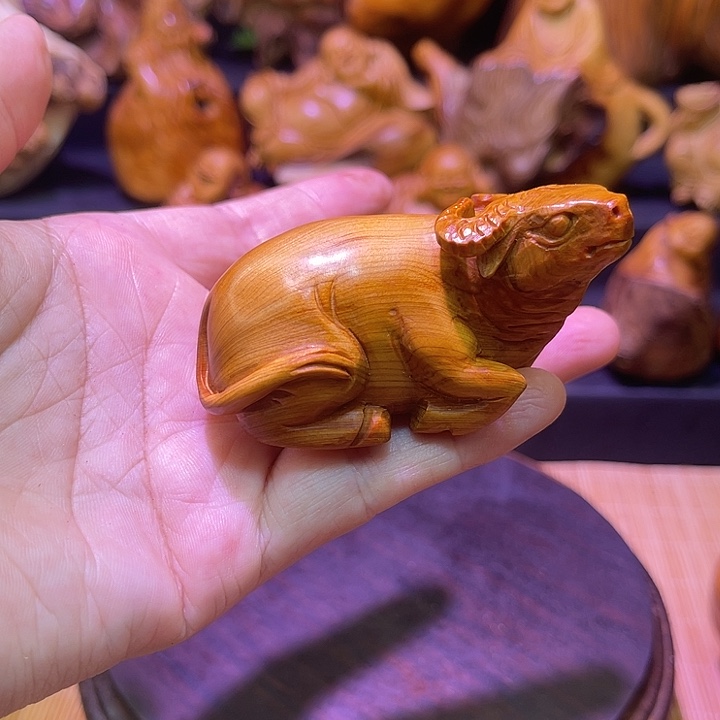 柏木（崖柏）888888888888888888888