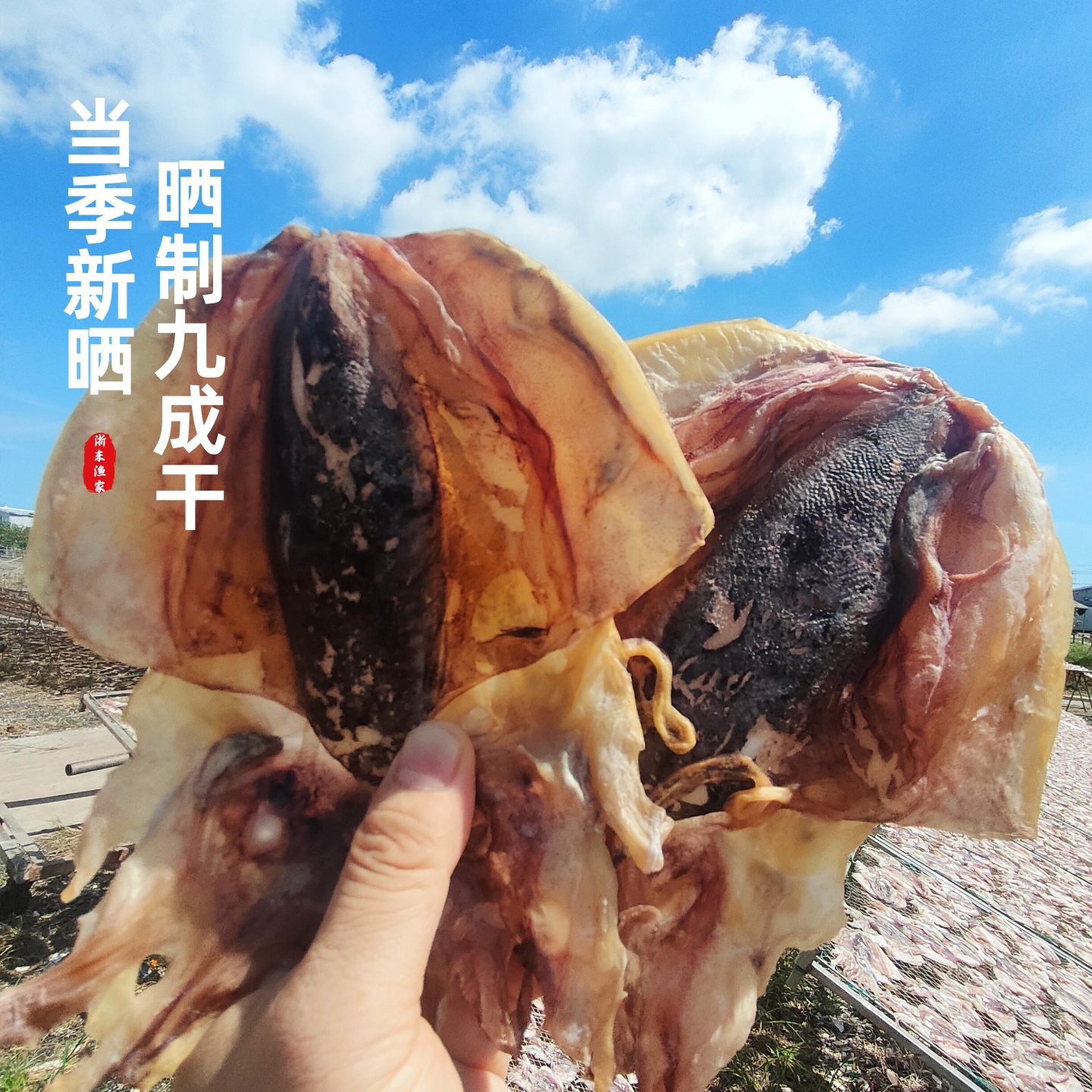 【大只】精选血墨鱼干干货特级野生淡晒乌贼目鱼干孕妇月子煲汤养生