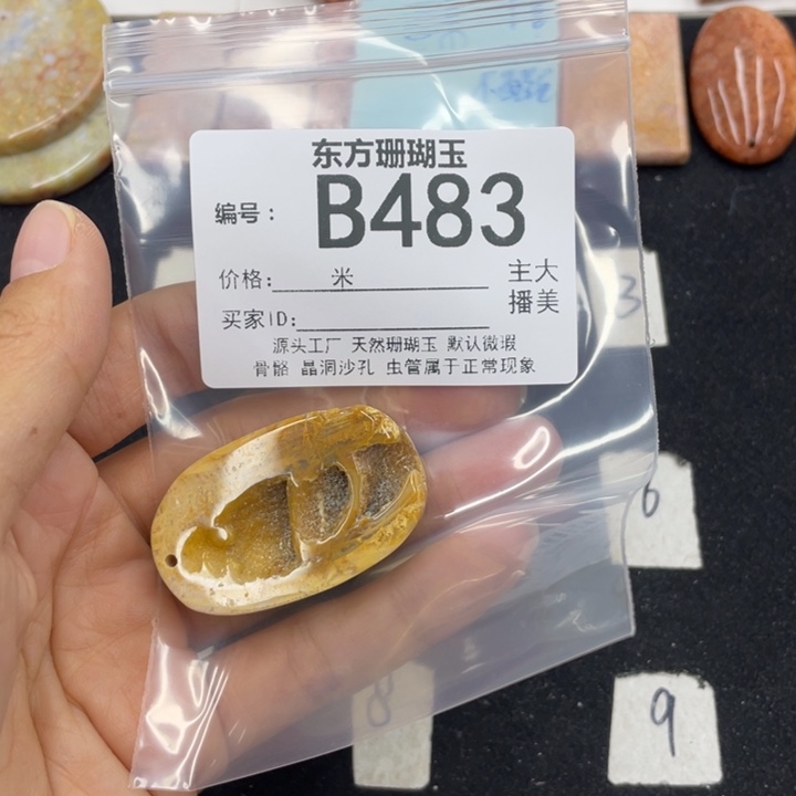 硅化珊瑚（珊瑚玉）颈饰合金缘**你