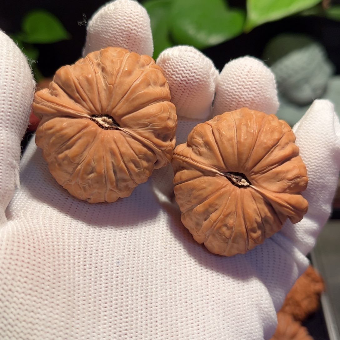 【闪购商品】文玩核桃把件王*号南瓜墩全品